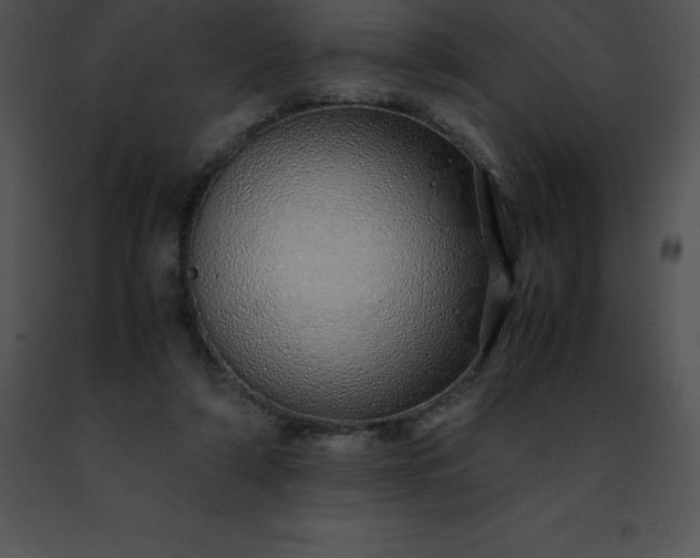 X0000091490306200708301941