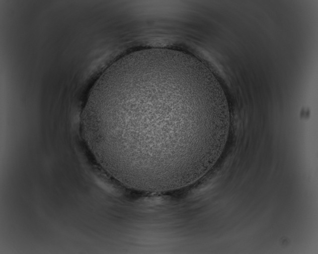 X0000091490307200708301941