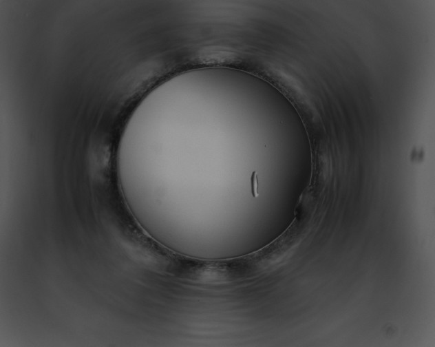 X0000091490308200708301941