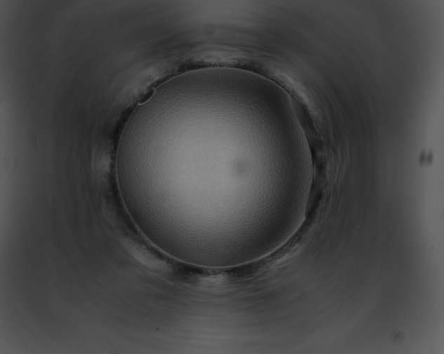 X0000091490309200708301941