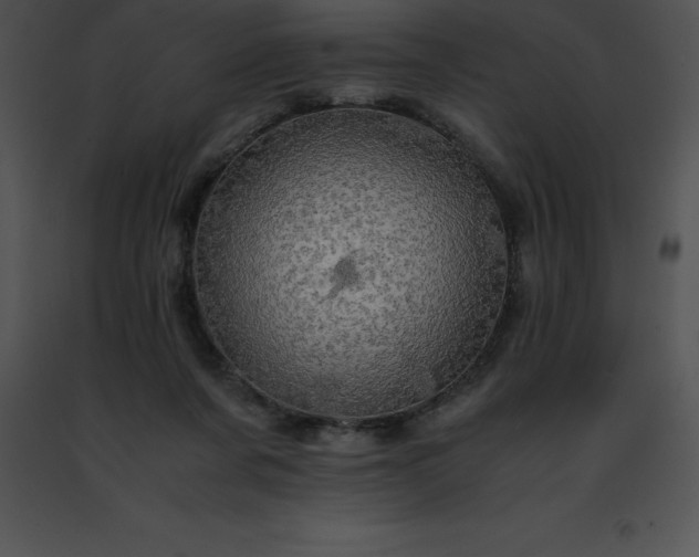 X0000091490311200708301941