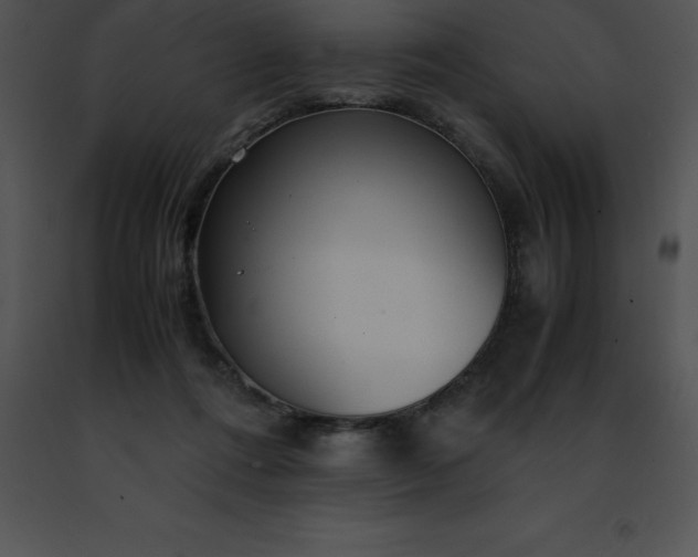 X0000091490312200708301941