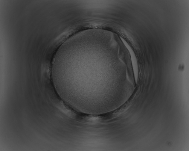 X0000091490313200708301941