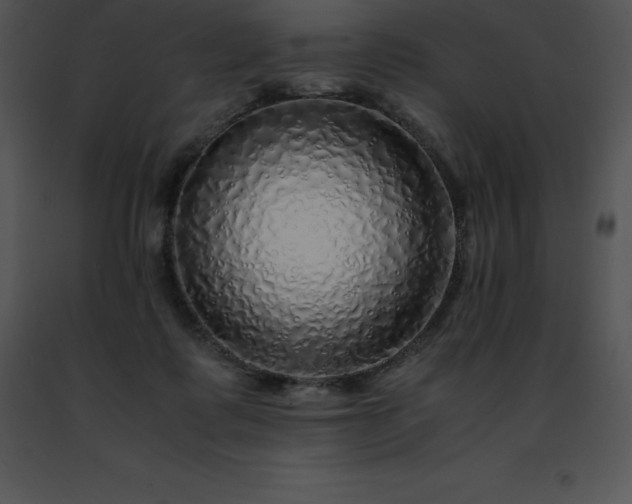 X0000091490315200708301941