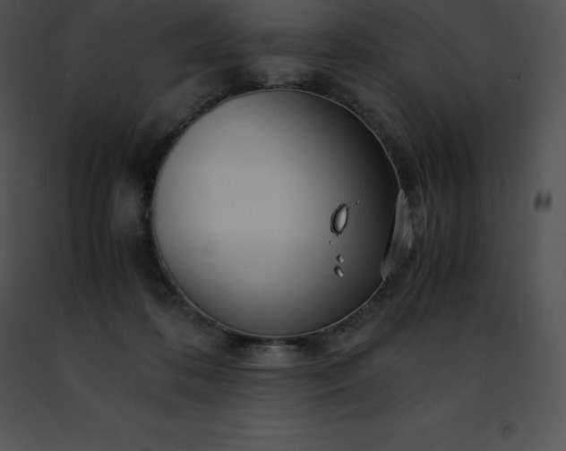 X0000091490316200708301941