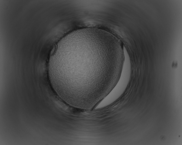 X0000091490317200708301941