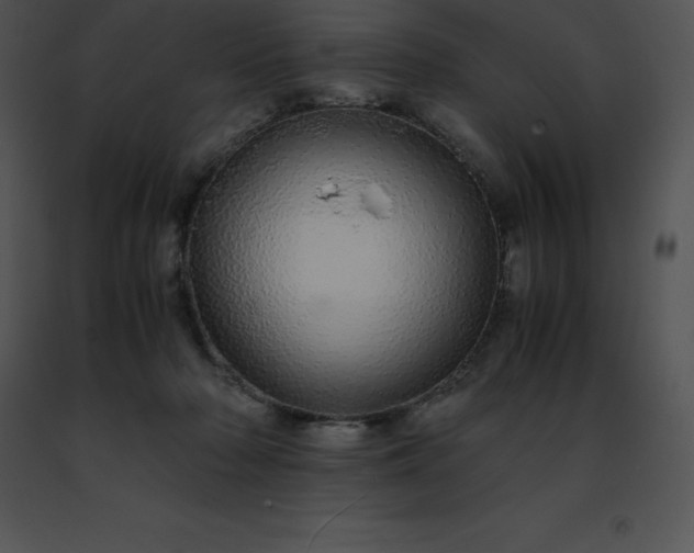 X0000091490318200708301941