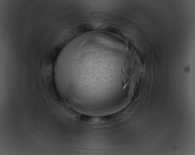 X0000091490319200708301941