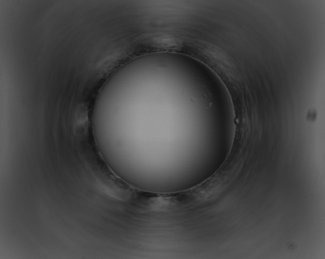 X0000091490320200708301941