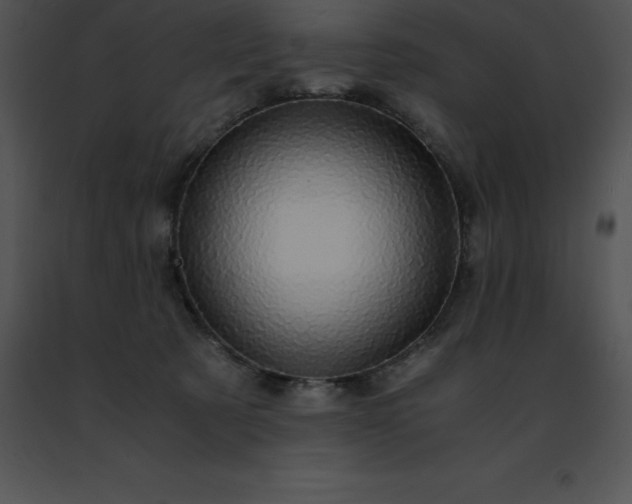 X0000091490321200708301941