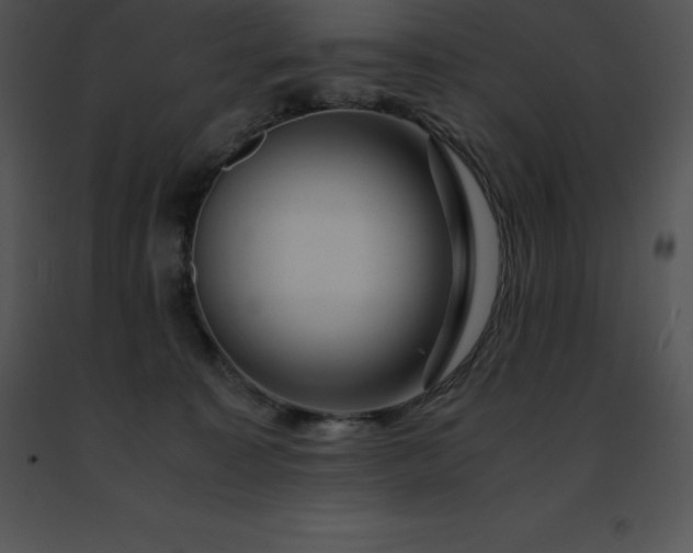 X0000091490323200708301941