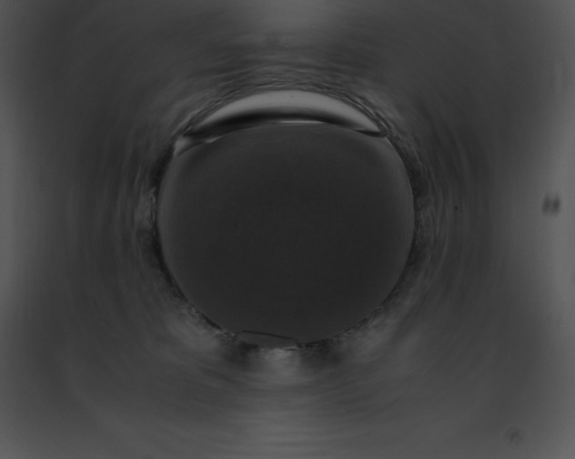 X0000091490325200708301941