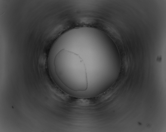 X0000091490328200708301941