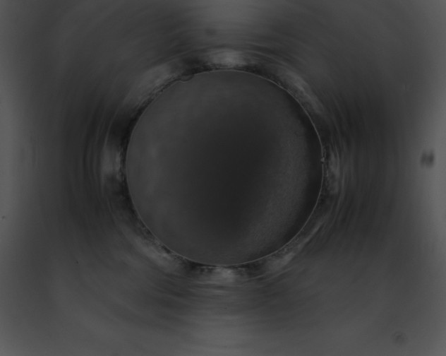 X0000091490330200708301941