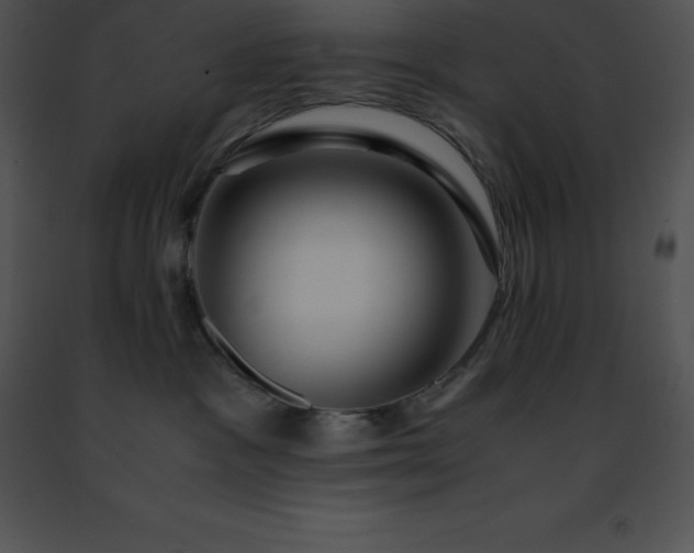 X0000091490333200708301941