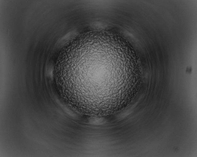 X0000091490334200708301941