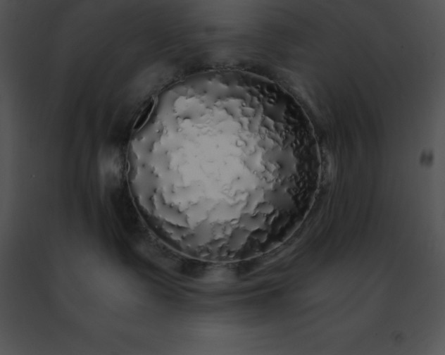 X0000091490335200708301941