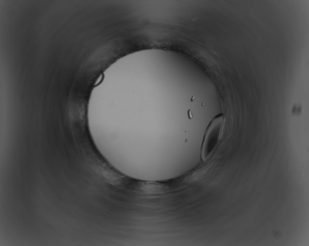 X0000091490336200708301941