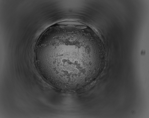 X0000091490337200708301940