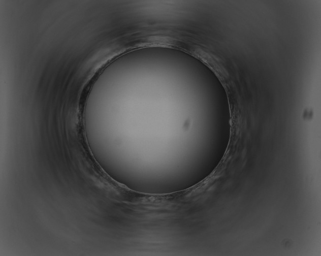 X0000091490338200708301940