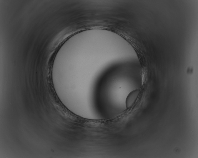 X0000091490339200708301940