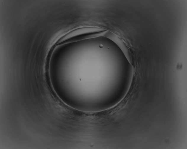 X0000091490340200708301940