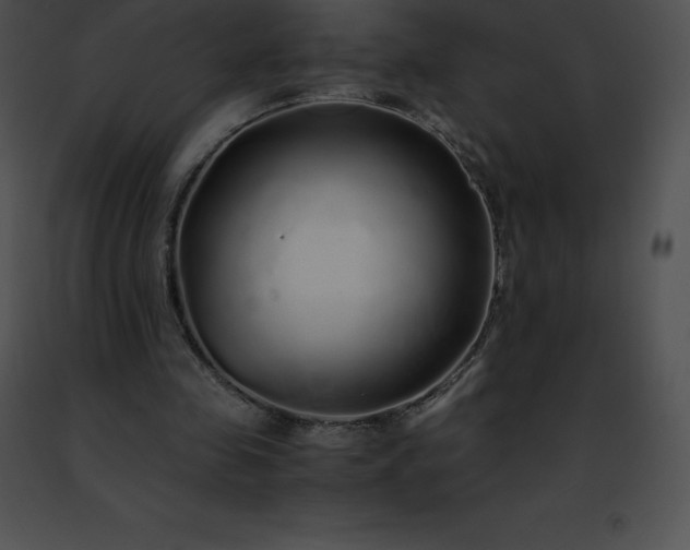 X0000091490341200708301940