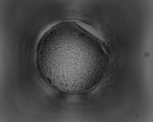 X0000091490342200708301941