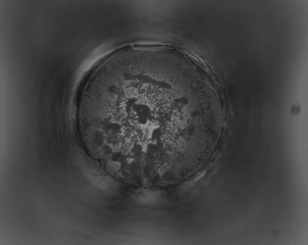 X0000091490343200708301941