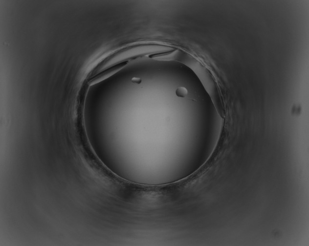 X0000091490344200708301941