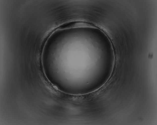 X0000091490345200708301941