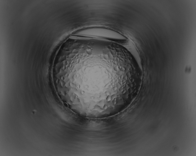 X0000091490346200708301941