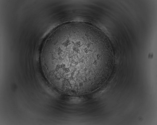 X0000091490347200708301941