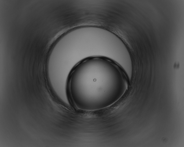 X0000091490348200708301941