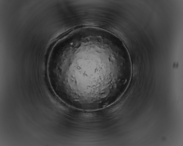 X0000091490349200708301941