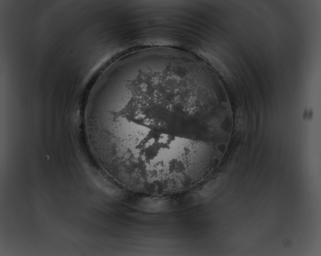 X0000091490351200708301941