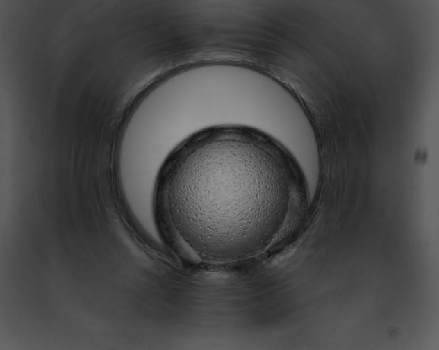 X0000091490352200708301941