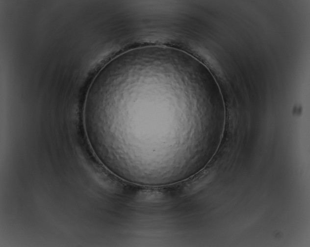 X0000091490354200708301941