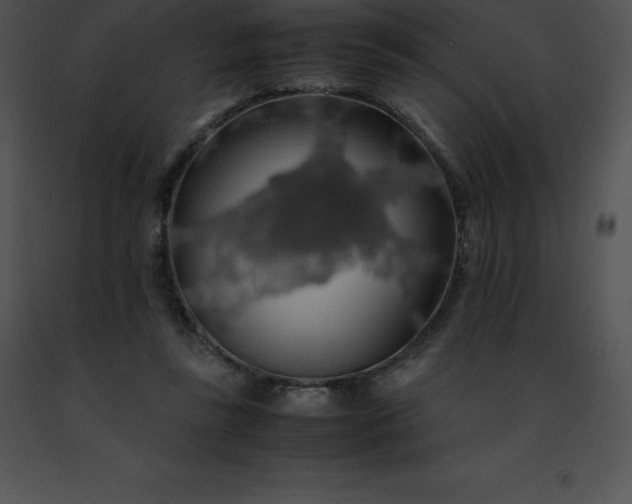 X0000091490355200708301941