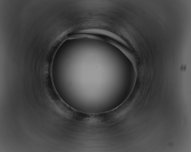 X0000091490356200708301941