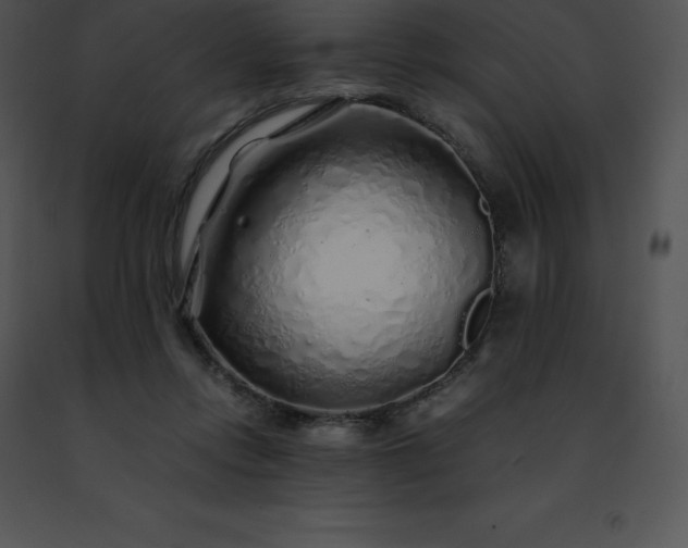 X0000091490358200708301941