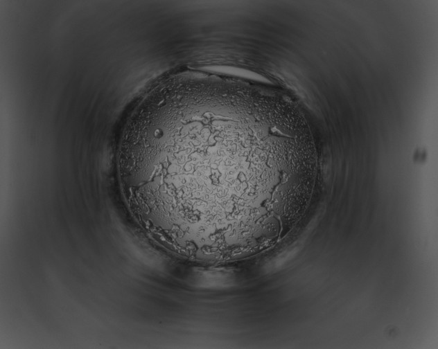 X0000091490359200708301941