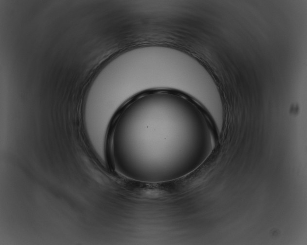 X0000091490360200708301941