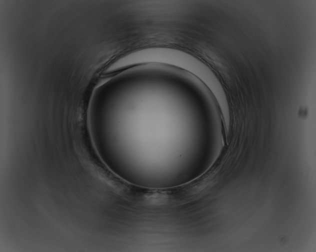 X0000091490362200708301941