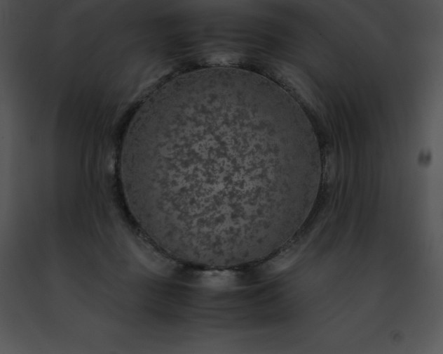 X0000091490363200708301941