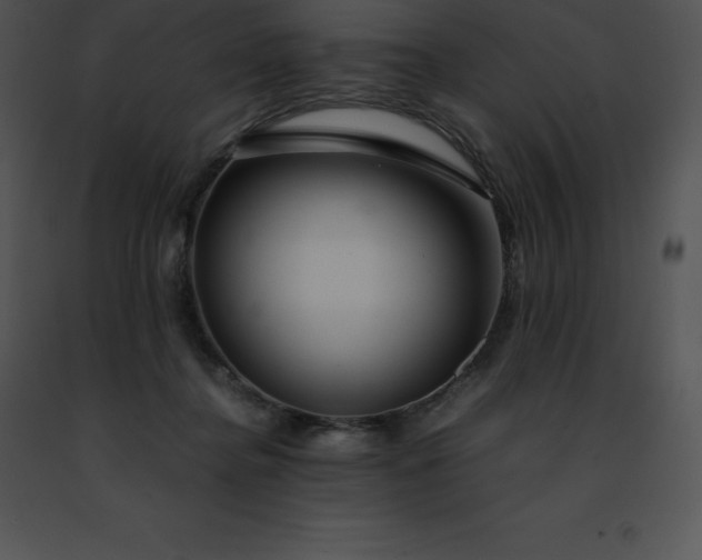 X0000091490364200708301941