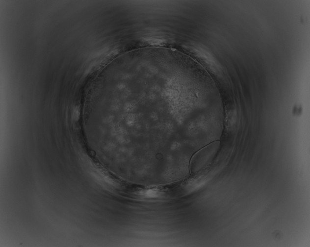 X0000091490365200708301941