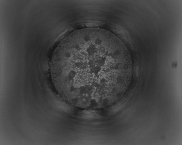 X0000091490367200708301941