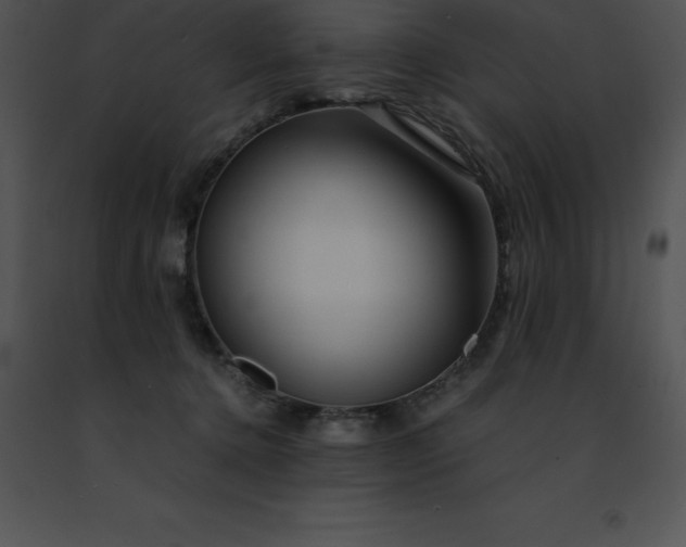 X0000091490368200708301941