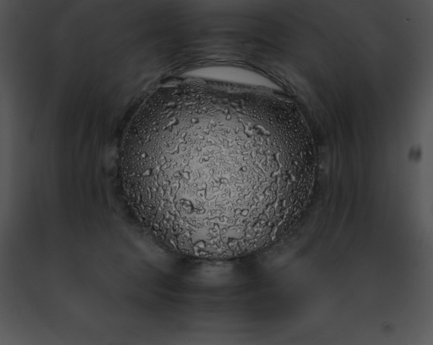 X0000091490369200708301941